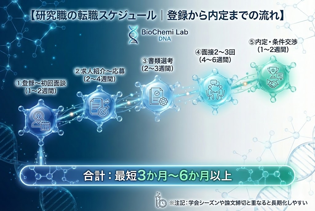 研究職の転職スケジュールを示すタイムライン図解。登録から初回面談まで1〜2週間、求人紹介から応募まで2〜4週間、書類選考2〜3週間、面接4〜6週間、内定・条件交渉1〜2週間で、合計3〜6か月が目安。
