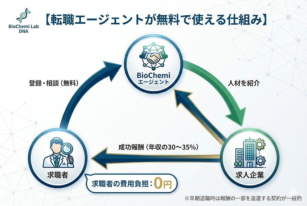 転職エージェントが無料で利用できる仕組みの概念図。求職者がエージェントに無料で登録・相談し、エージェントが企業に人材を紹介、企業がエージェントに年収の30〜35%を成功報酬として支払う三者関係を図示。