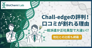Chall-edgeの評判と口コミ解説記事のアイキャッチ。一般派遣と正社員型の違いや他社比較について徹底解説。