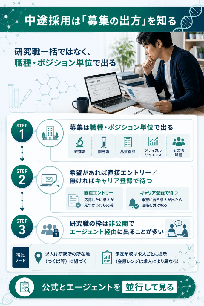 エーザイ研究職のキャリア採用の流れを示す図解